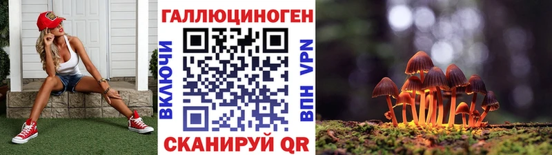 маркетплейс наркотические препараты  Искитим  Галлюциногенные грибы Magic Shrooms 